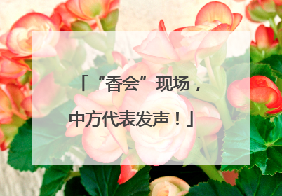 “香会”现场，中方代表发声！