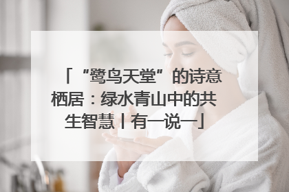 “鹭鸟天堂”的诗意栖居：绿水青山中的共生智慧丨有一说一