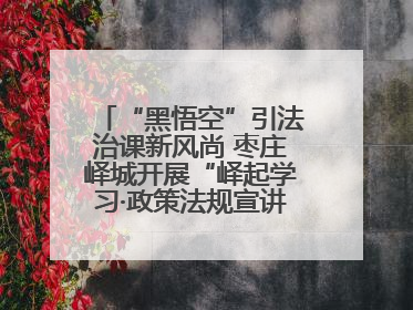 “黑悟空”引法治课新风尚 枣庄峄城开展“峄起学习·政策法规宣讲面对面”活动