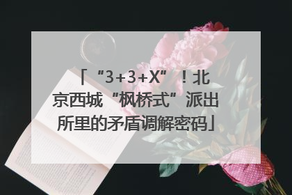 “3+3+X”！北京西城“枫桥式”派出所里的矛盾调解密码