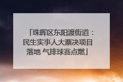 珠晖区东阳渡街道：民生实事人大票决项目落地 气排球赛点燃