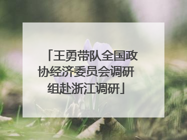 王勇带队全国政协经济委员会调研组赴浙江调研