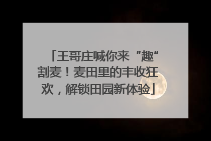 王哥庄喊你来“趣”割麦！麦田里的丰收狂欢，解锁田园新体验