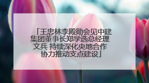 王忠林李殿勋会见中建集团董事长郑学选总经理文兵 持续深化央地合作 协力推动支点建设