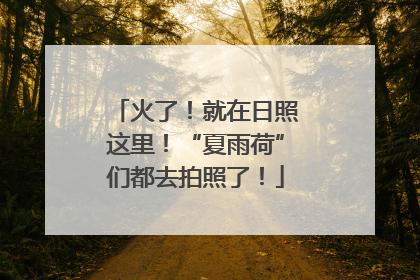 火了！就在日照这里！“夏雨荷”们都去拍照了！