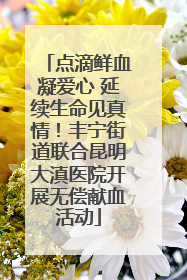 点滴鲜血凝爱心 延续生命见真情！丰宁街道联合昆明大滇医院开展无偿献血活动