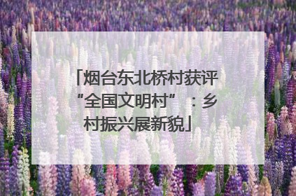 烟台东北桥村获评“全国文明村”：乡村振兴展新貌