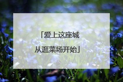 爱上这座城 从逛菜场开始