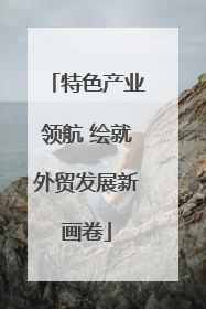 特色产业领航 绘就外贸发展新画卷