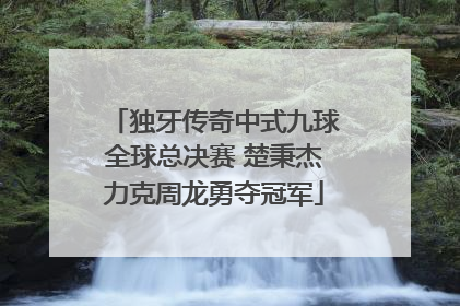 独牙传奇中式九球全球总决赛 楚秉杰力克周龙勇夺冠军