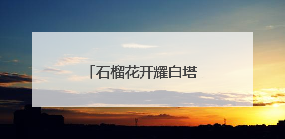 石榴花开耀白塔，新街口举办民族共同体宣传活动