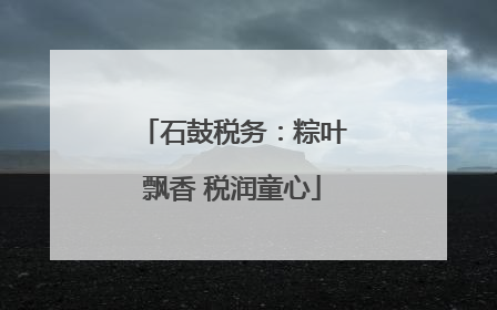 石鼓税务：粽叶飘香 税润童心
