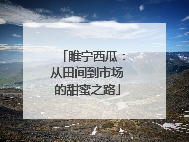睢宁西瓜：从田间到市场的甜蜜之路