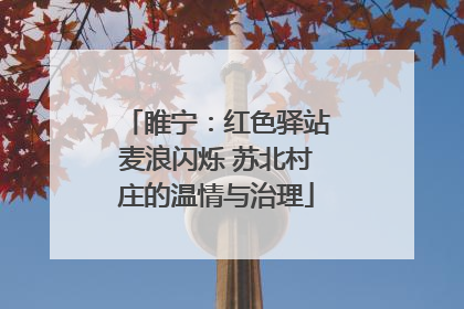 睢宁：红色驿站麦浪闪烁 苏北村庄的温情与治理