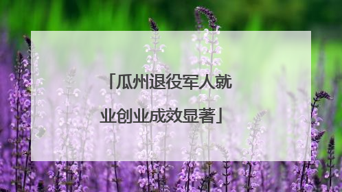 瓜州退役军人就业创业成效显著