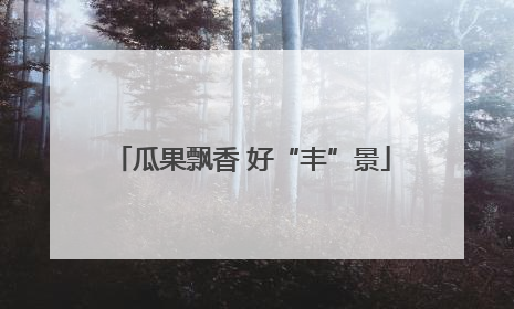 瓜果飘香 好“丰”景