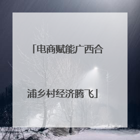 电商赋能广西合浦乡村经济腾飞