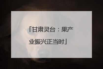 甘肃灵台：果产业振兴正当时
