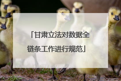 甘肃立法对数据全链条工作进行规范