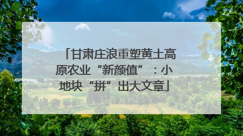 甘肃庄浪重塑黄土高原农业“新颜值”：小地块“拼”出大文章