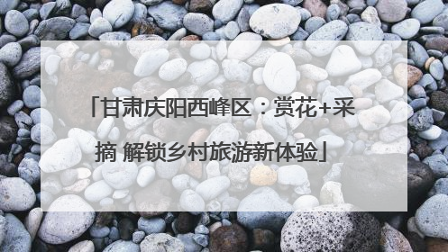 甘肃庆阳西峰区：赏花+采摘 解锁乡村旅游新体验