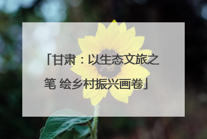 甘肃：以生态文旅之笔 绘乡村振兴画卷