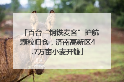 百台“钢铁麦客”护航颗粒归仓，济南高新区4.7万亩小麦开镰
