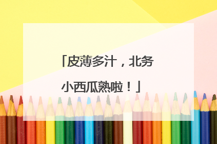 皮薄多汁，北务小西瓜熟啦！