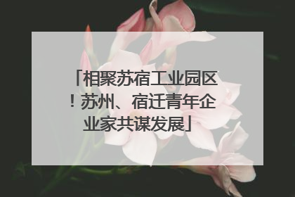 相聚苏宿工业园区！苏州、宿迁青年企业家共谋发展