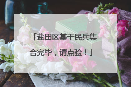 盐田区基干民兵集合完毕，请点验！