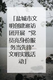 盐城市文明创建巡访团开展“党员亮身份服务当先锋”文明实践活动