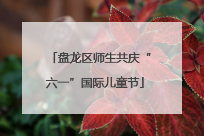 盘龙区师生共庆“六一”国际儿童节