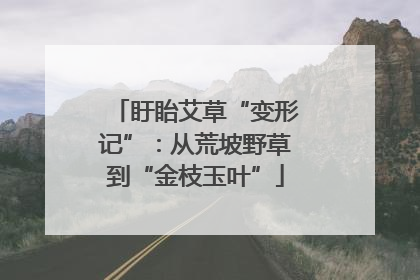 盱眙艾草“变形记”：从荒坡野草到“金枝玉叶”