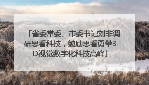 省委常委、市委书记刘非调研思看科技，勉励思看勇攀3D视觉数字化科技高峰