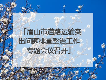 眉山市道路运输突出问题排查整治工作专题会议召开