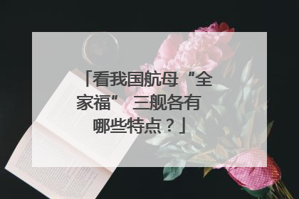 看我国航母“全家福” 三舰各有哪些特点？
