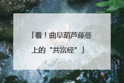 看！曲阜葫芦藤蔓上的“共富经”