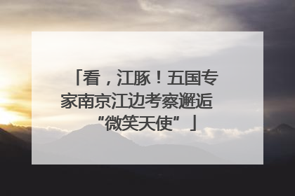 看，江豚！五国专家南京江边考察邂逅“微笑天使”