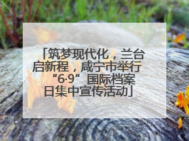 筑梦现代化，兰台启新程，咸宁市举行“6·9”国际档案日集中宣传活动