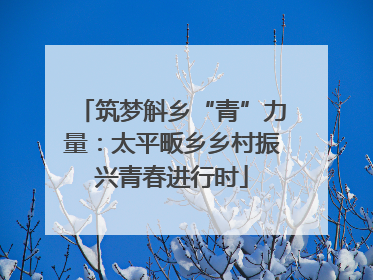 筑梦斛乡“青”力量：太平畈乡乡村振兴青春进行时