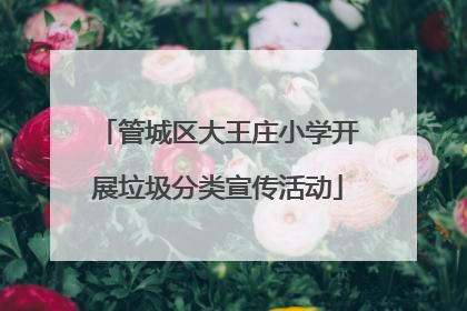 管城区大王庄小学开展垃圾分类宣传活动