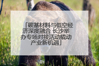 碳基材料与低空经济深度融合 长沙举办专场对接活动撬动产业新机遇