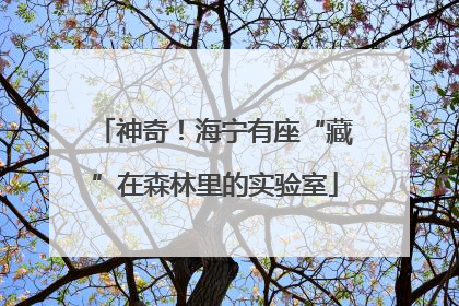 神奇！海宁有座“藏”在森林里的实验室