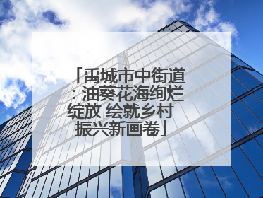 禹城市中街道：油葵花海绚烂绽放 绘就乡村振兴新画卷