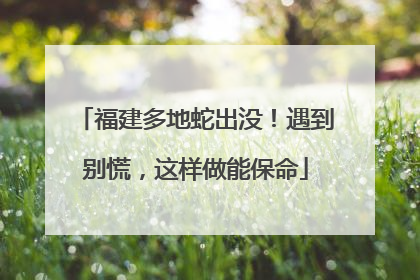 福建多地蛇出没！遇到别慌，这样做能保命