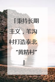 秉持长期主义，苇沟村打造泰北“黄精村”
