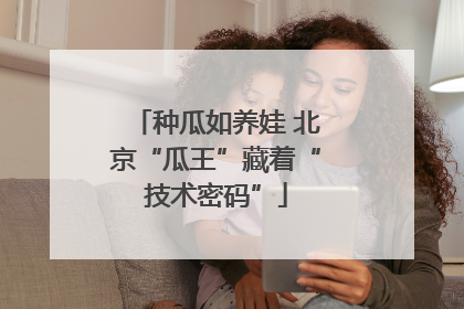 种瓜如养娃 北京“瓜王”藏着“技术密码”