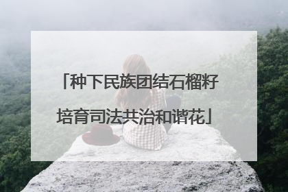种下民族团结石榴籽 培育司法共治和谐花
