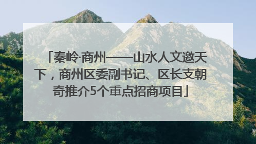秦岭·商州——山水人文邀天下，商州区委副书记、区长支朝奇推介5个重点招商项目