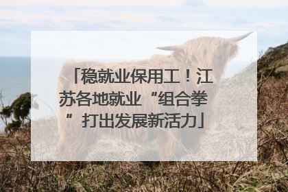 稳就业保用工！江苏各地就业“组合拳”打出发展新活力